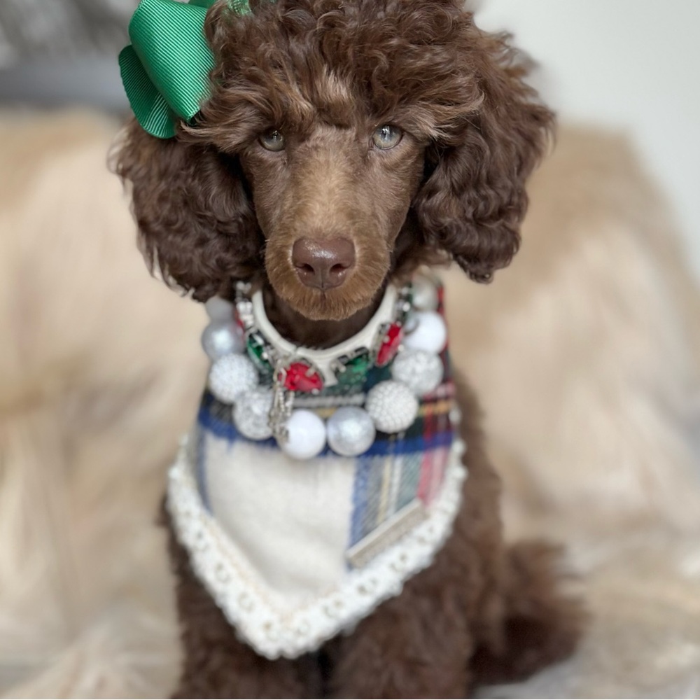 Maggie & Co. Iceland ❄️ Holiday Collection Plaid Dog Bandana and Bow, Small